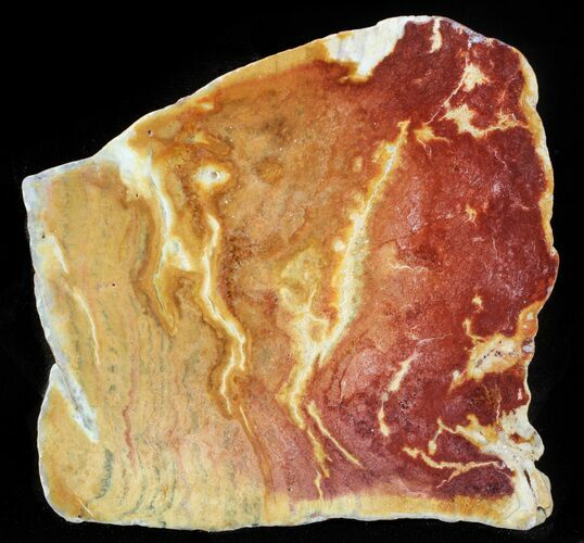 Polished Noondine Chert (Stromatolite) Slab - Billion Years #63296